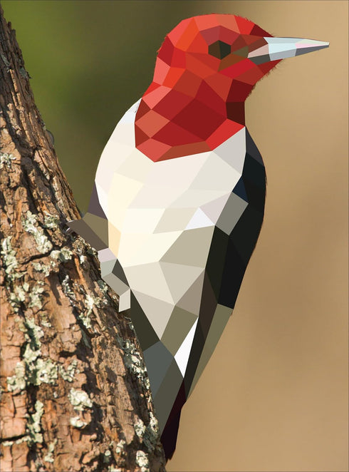 PAINT BY STICKER: BIRDS -WORKMAN
